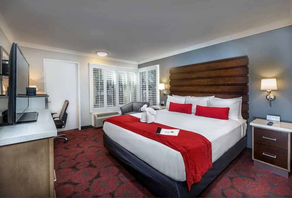 Desert Palms Hotel & Suites - Chambres