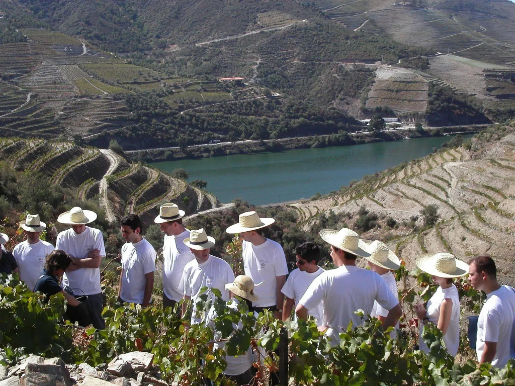Quinta Nova Winery House - Relais & Châteaux - Général