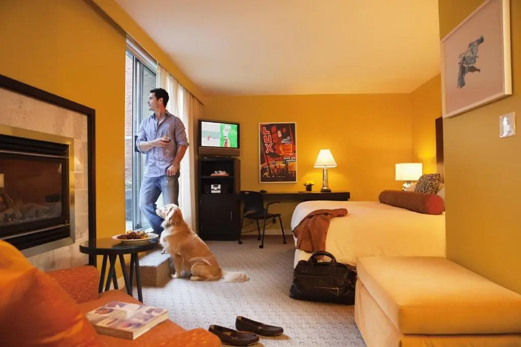 Standard Double room with garden view (full double bed)