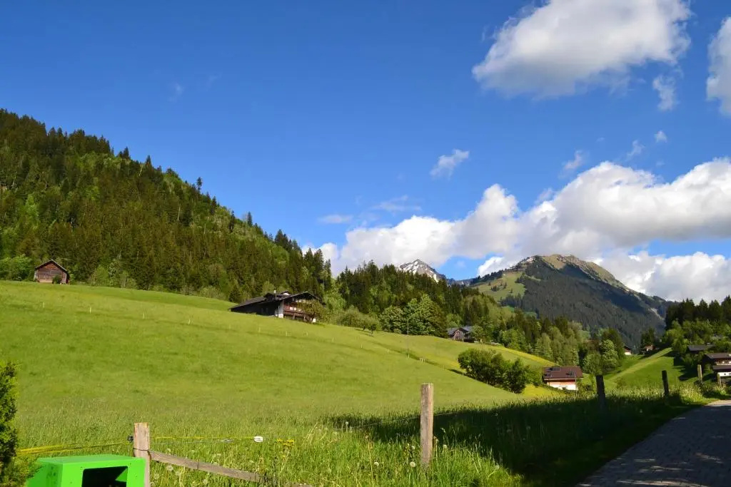 Hotel Le Grand Chalet Gstaad - Chambres