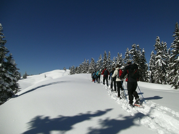 Wander-Vitalhotel Steirerhof - Général