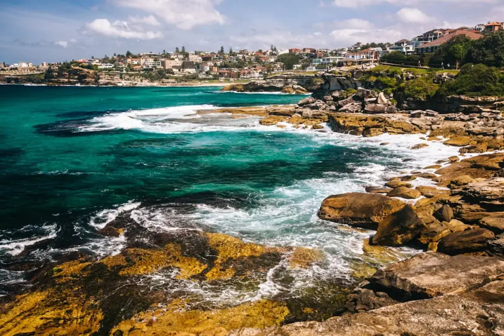 Ultimate Bondi Living