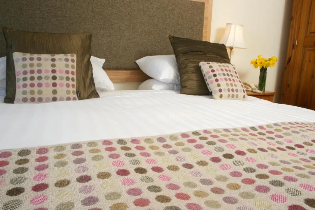 Wolfscastle Country Hotel - Chambres