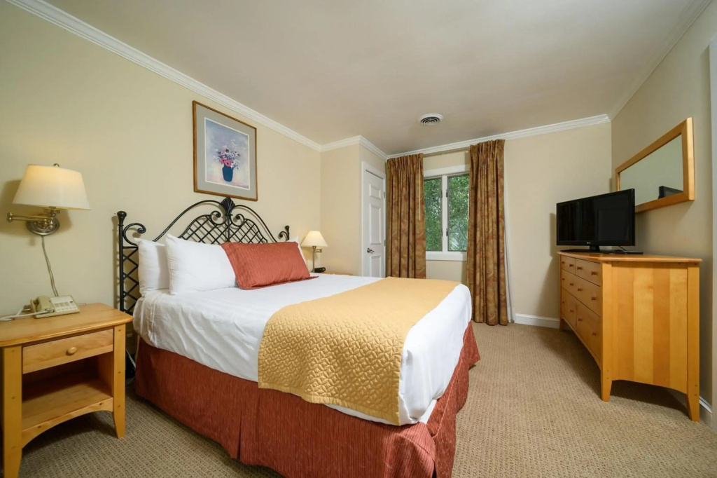 Stoweflake Mountain Resort & Spa - Général