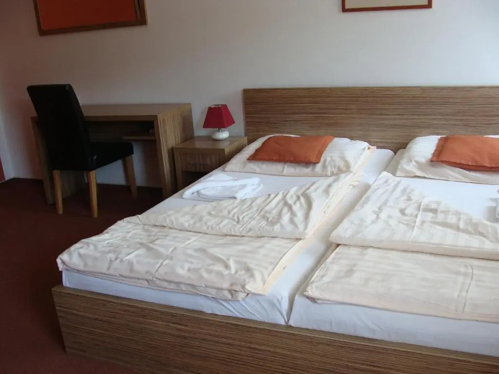 Wellness Hotel Hukvaldy - Chambres