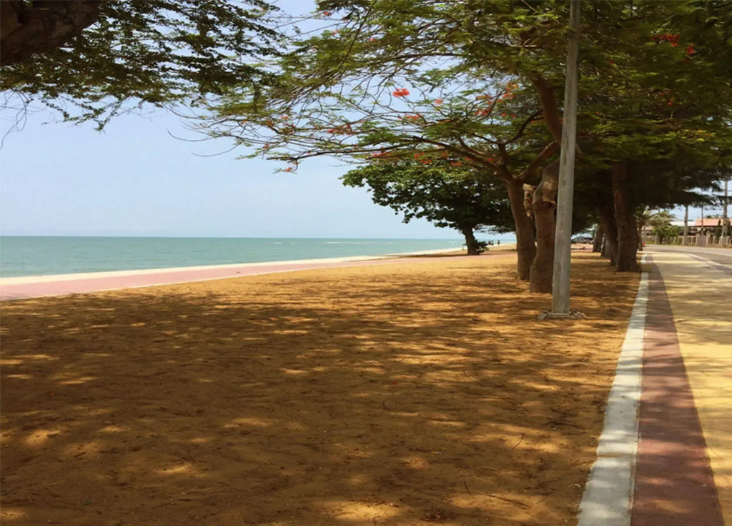 Bacchus Home Resort - Général
