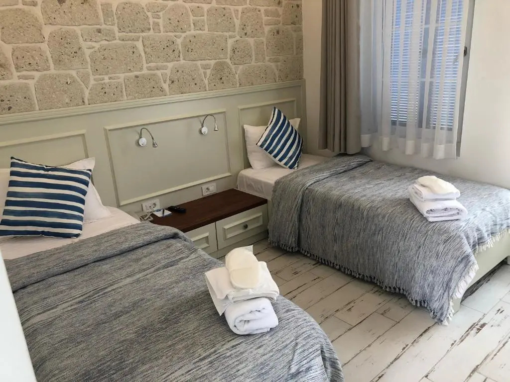 Deluxe Double room (twin beds)