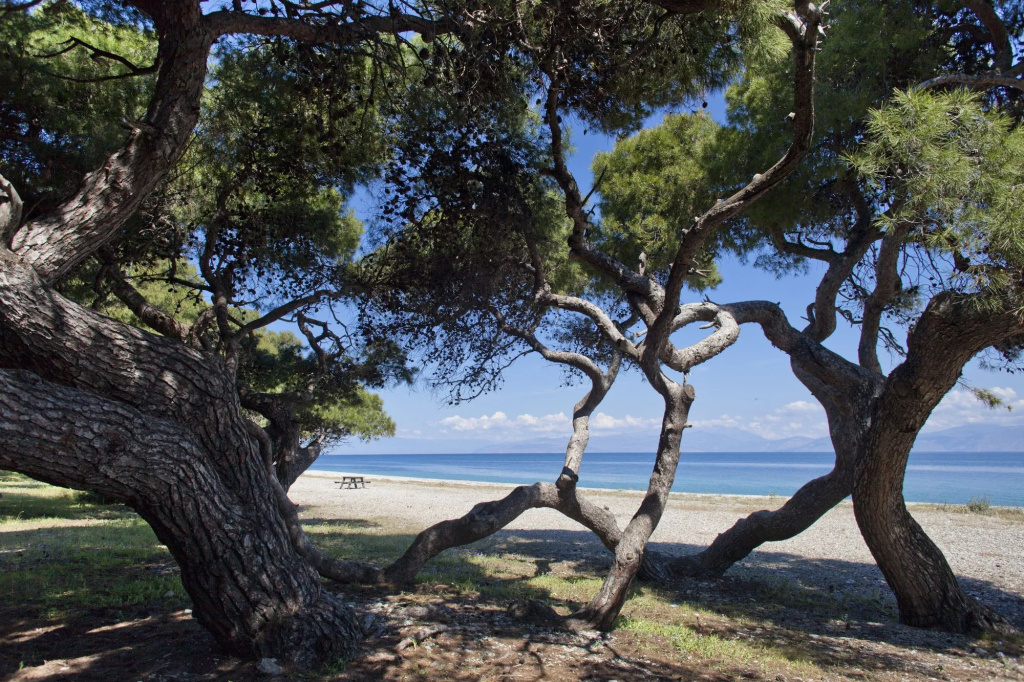 Beach & Waterfront