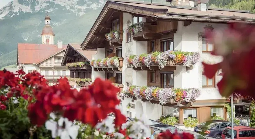 Hotel Angelika - Général