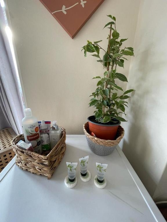 Room in family home near Penny Lane Liverpool