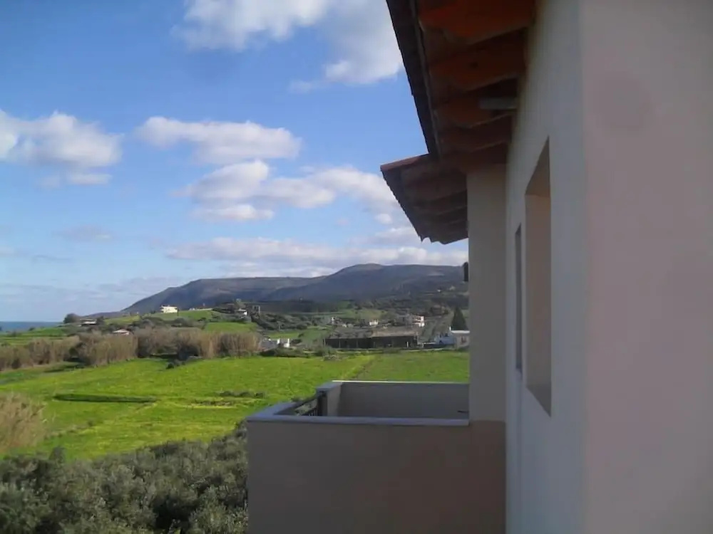 Olive Tree Farm