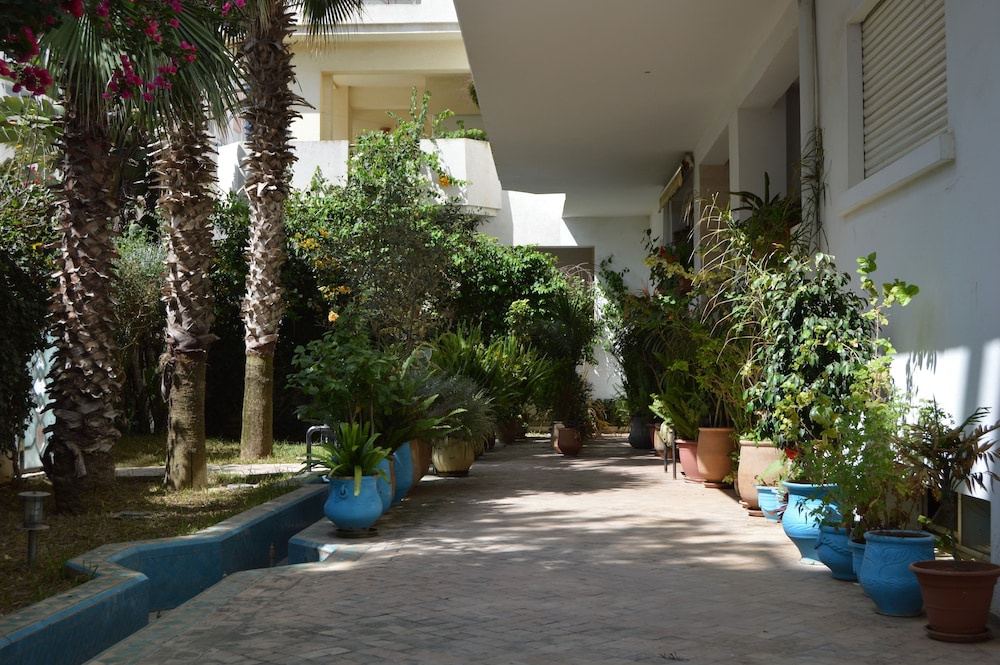 El Hamra 2
