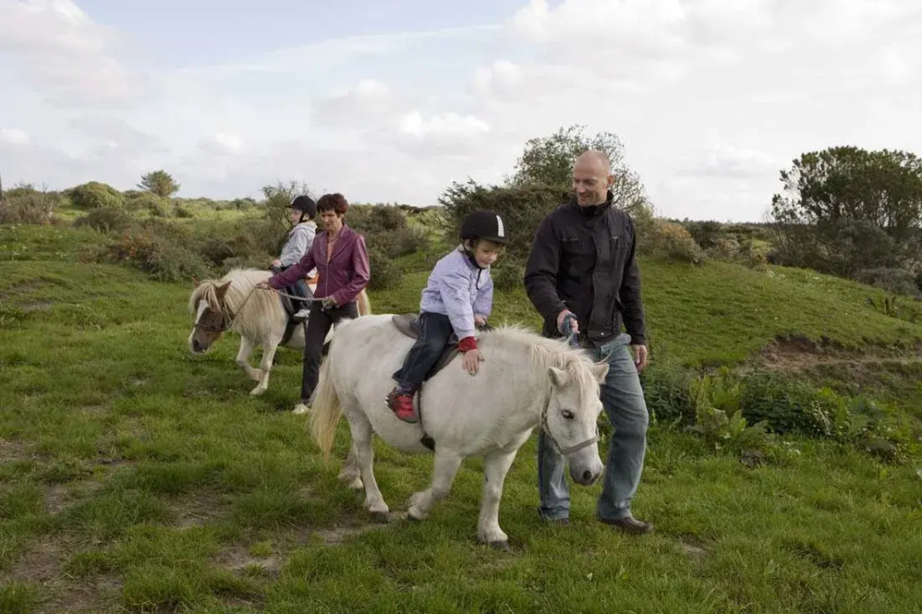 Skallerup Seaside Resort - фото 31