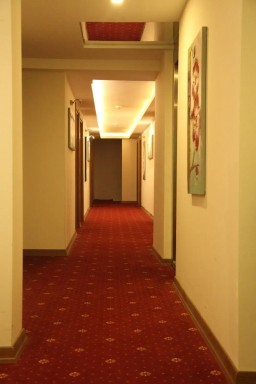 Safir Hotel - Général