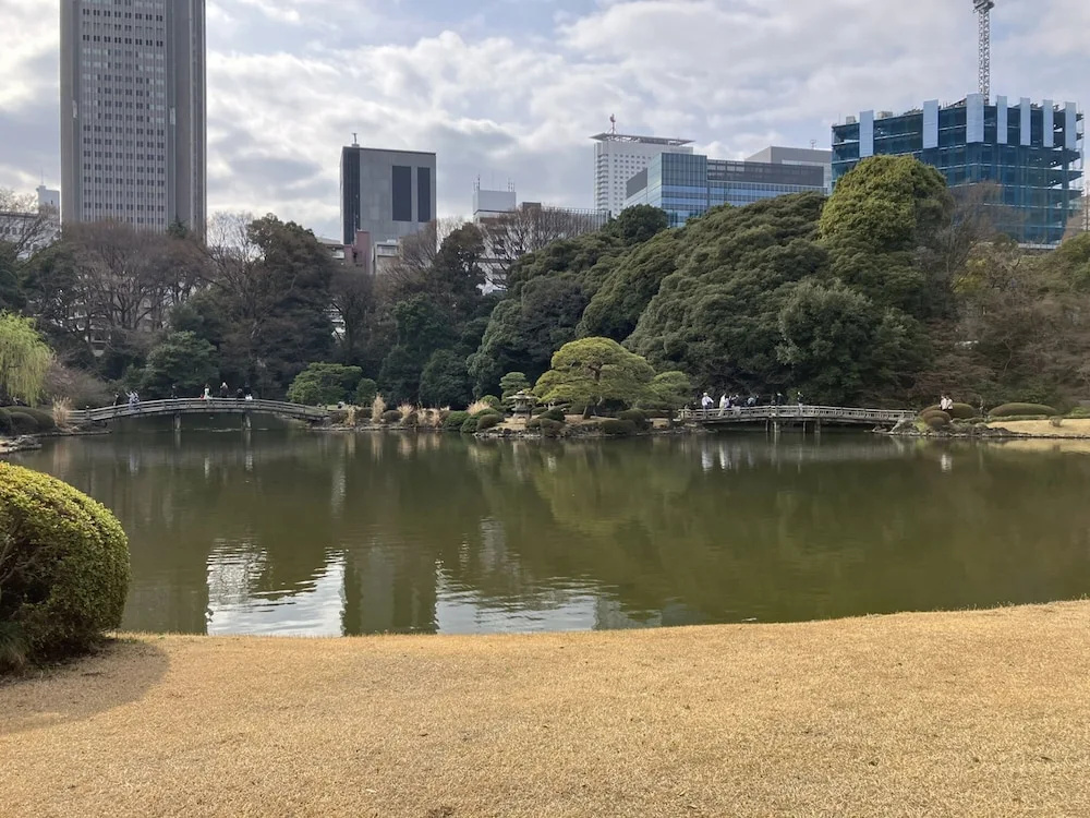 Toyoko Inn Shinjuku-Gyoemmae-Eki 3-Ban Deguchi 사진 16