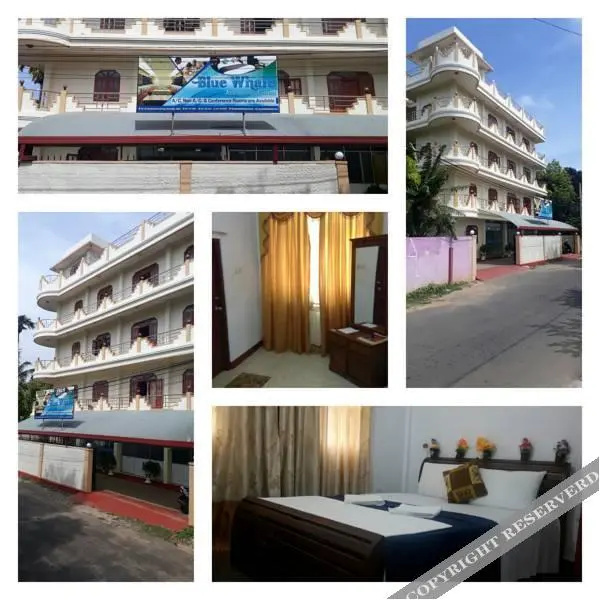Hotel Blue Whale
