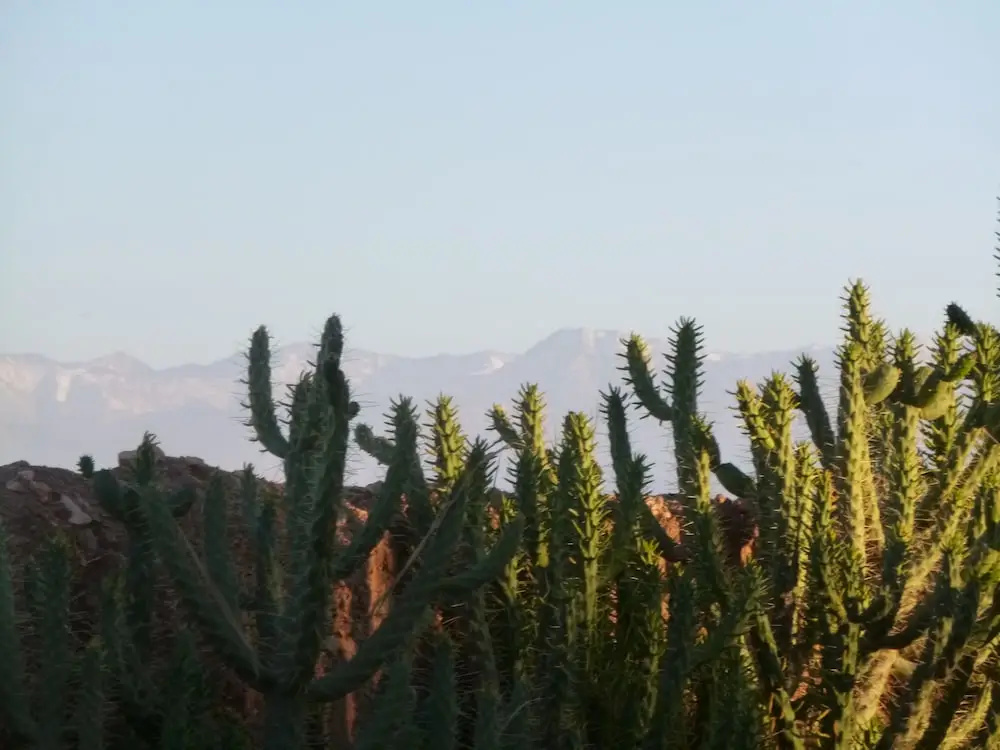 La Parenthese de Marrakech - фото 12