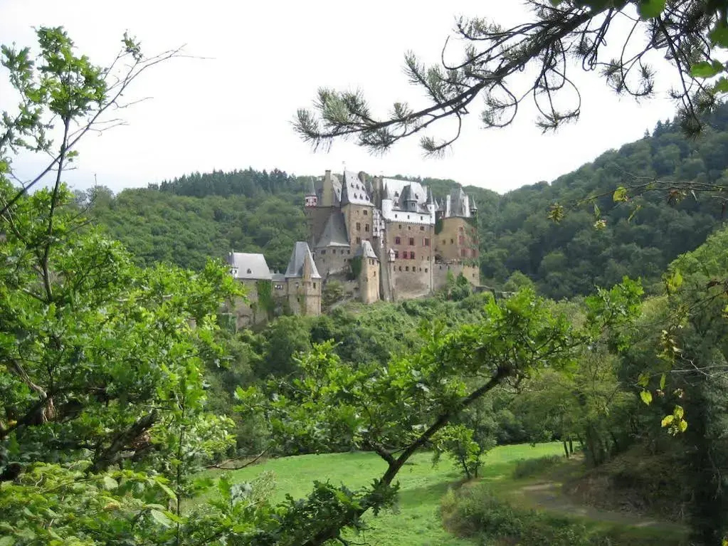 Winzerhotel zum Moselstrand - Général