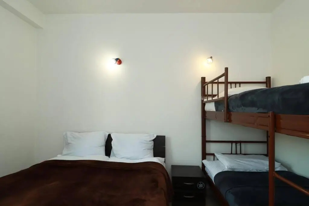 1BR Apartment in Gudauri