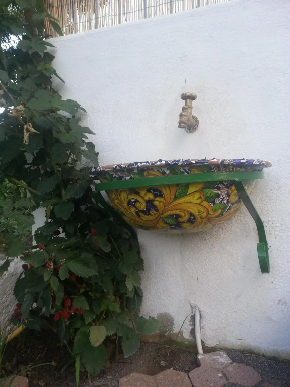 Hotel Senator Mediterraneo - Général