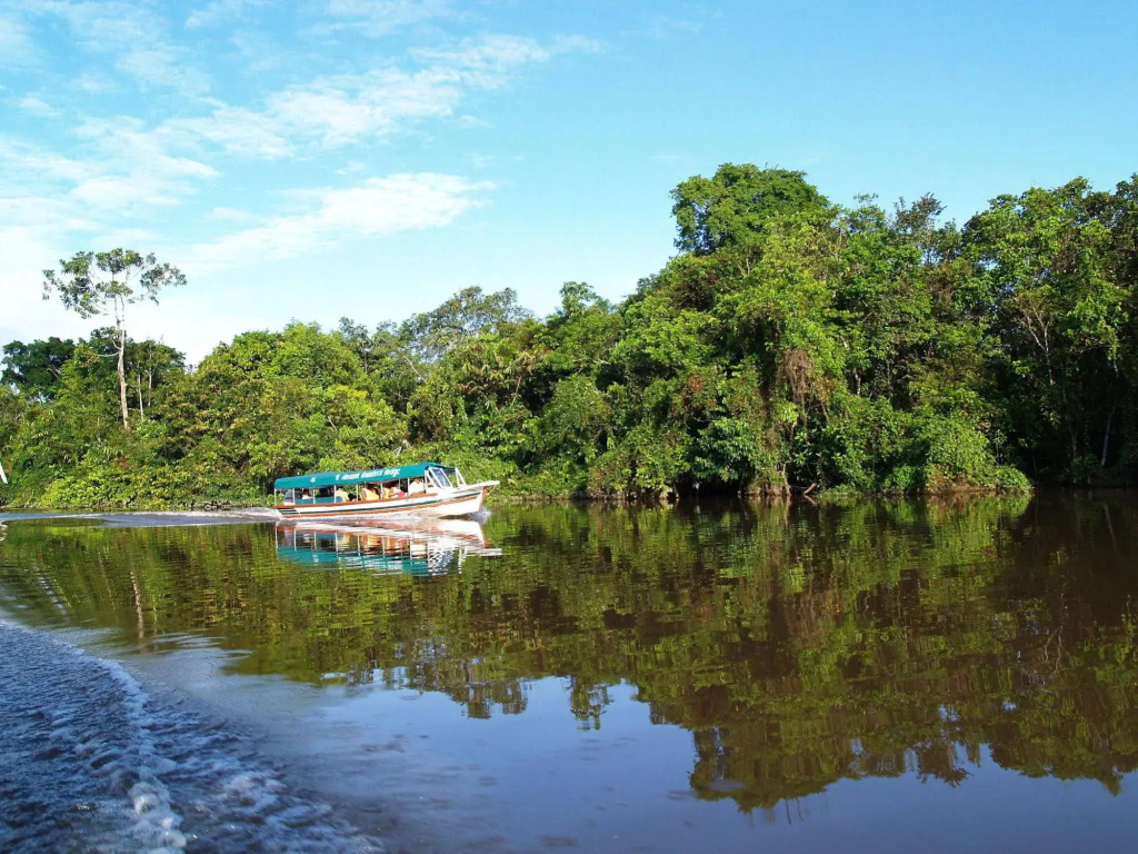 Amazon Rainforest Lodge