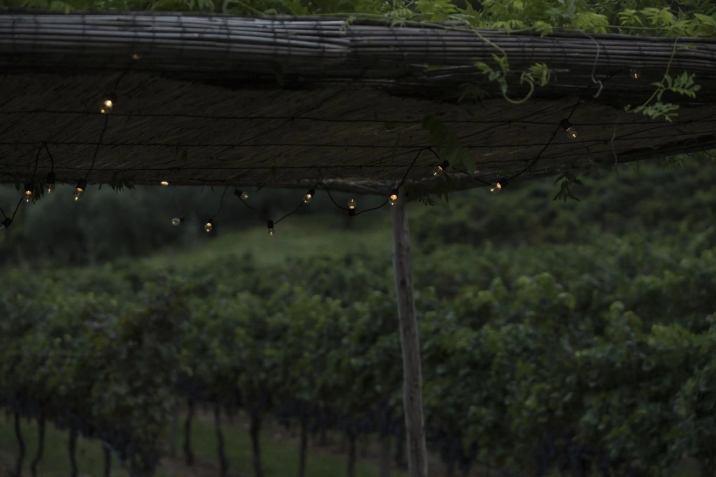 Residence La Vigna