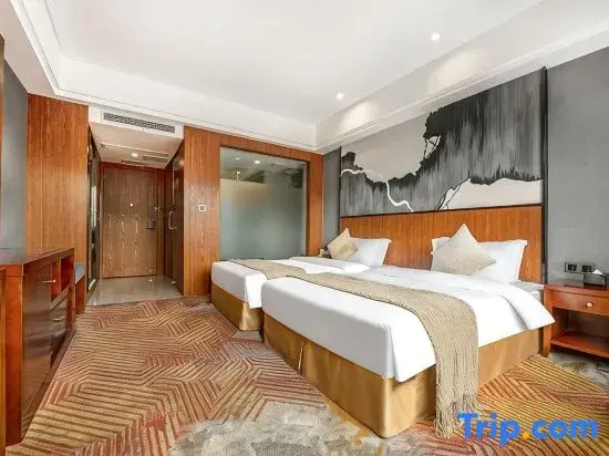 Superior Double room (twin beds)