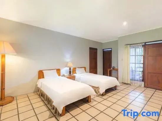 Standard Double room (twin beds)
