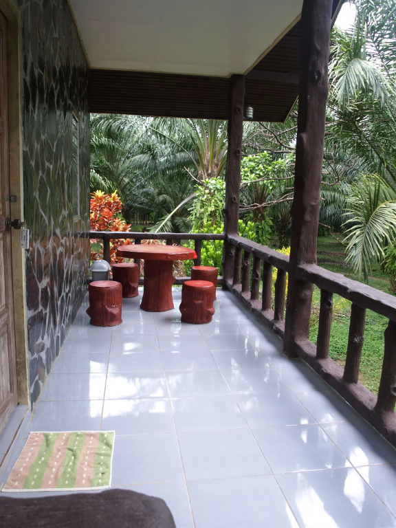 Balcony & Terrace