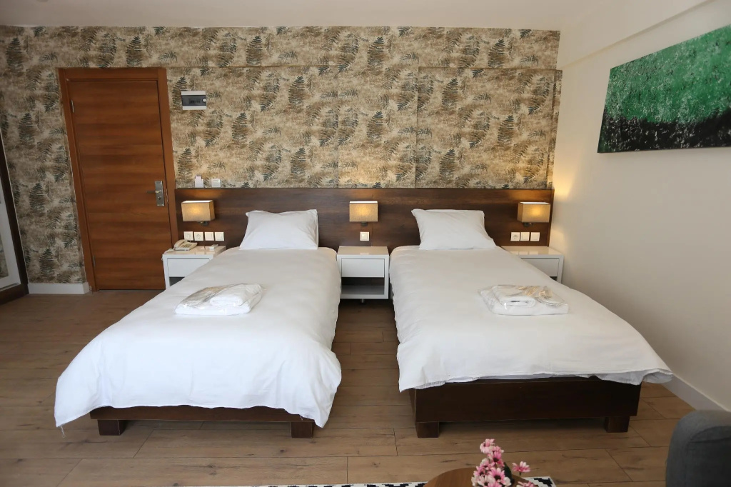 Deluxe Double room (twin beds)