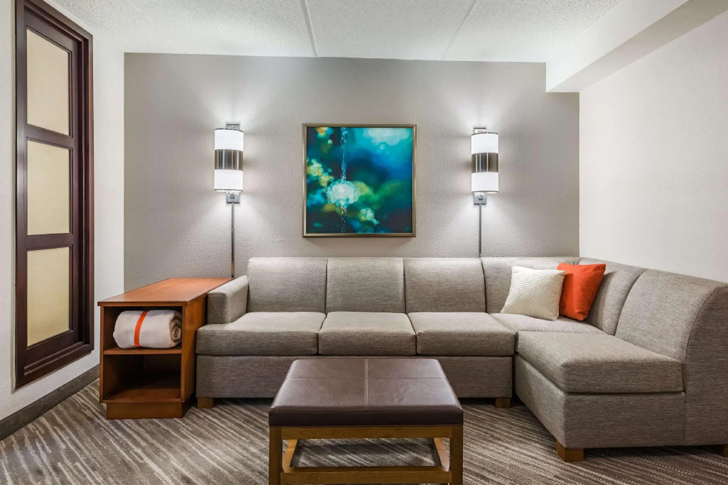 Hyatt Place Atlanta/Duluth/Johns Creek - Chambres