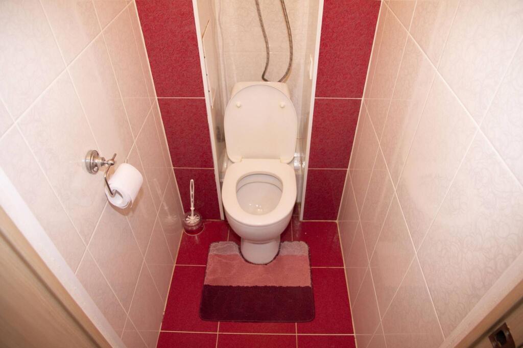 Барбарис на улице Льва Толстого - фото 9