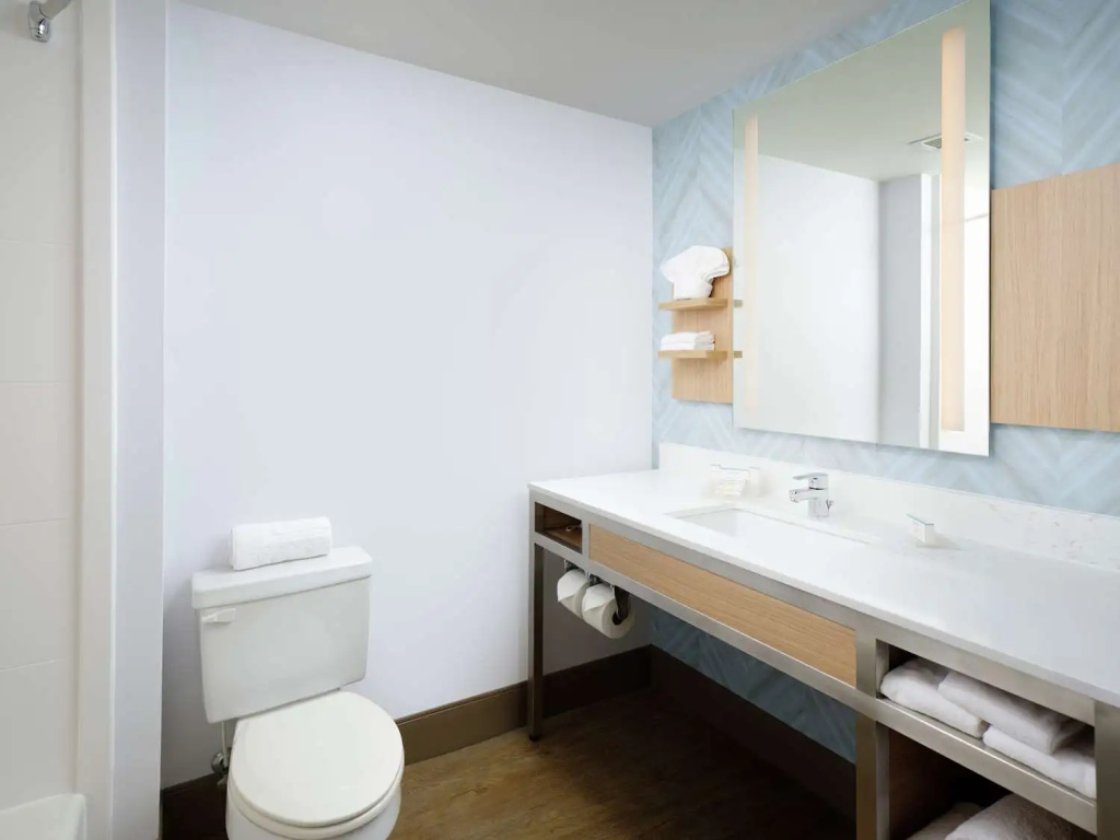 Hilton Garden Inn Atlanta NW/Kennesaw Town Center - Chambres