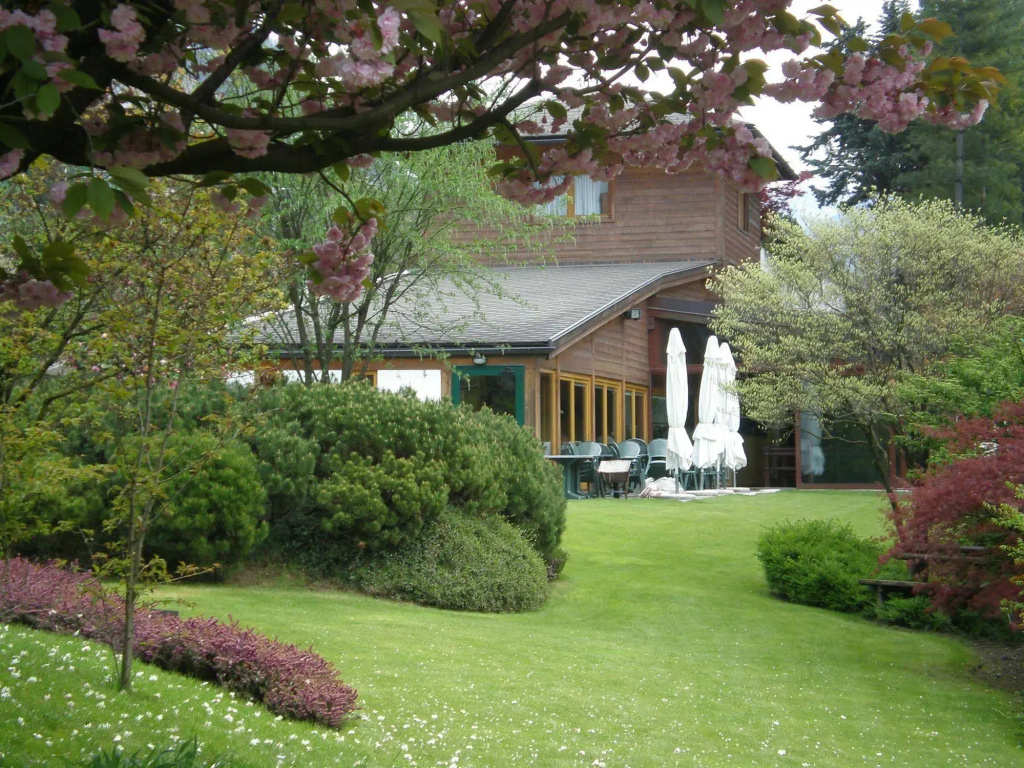Hotel photo 10