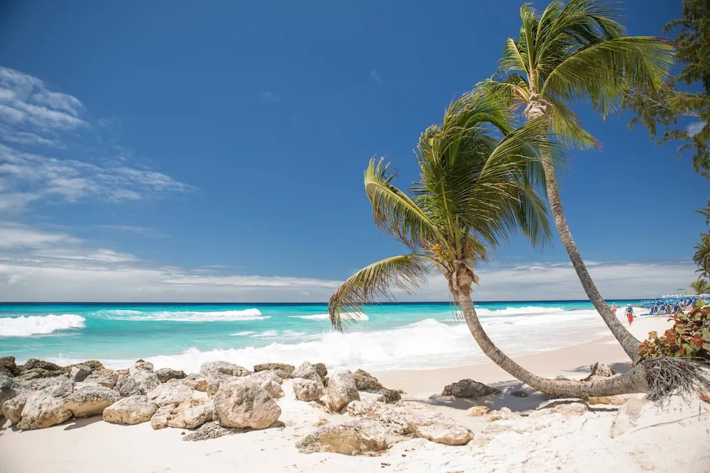 Beach & Waterfront