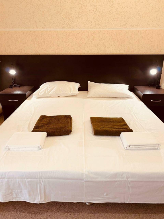 Comfort Double room (full double bed)