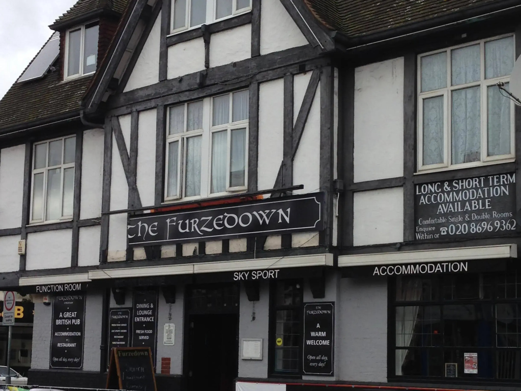 The Furzedown