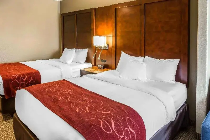 Comfort Suites San Jose Airport - Chambres