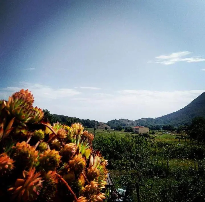 Bed and breakfast Casa Vettese