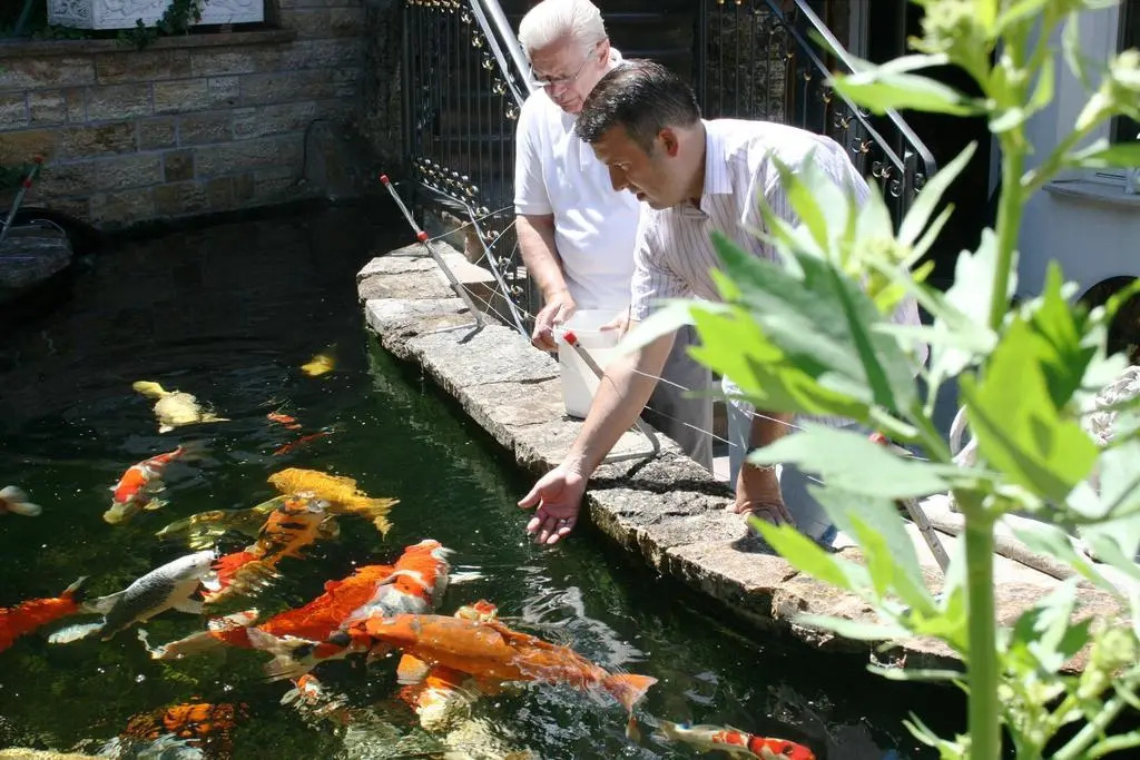 Image 32
