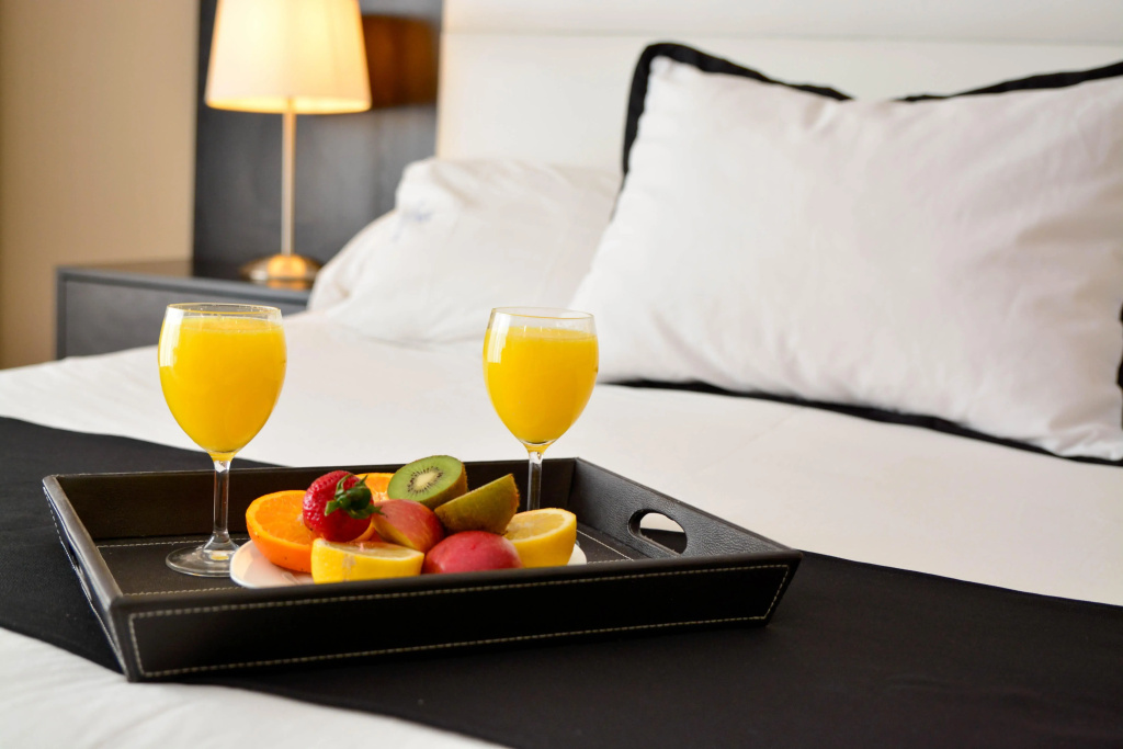 Pocitos Plaza Hotel - Général