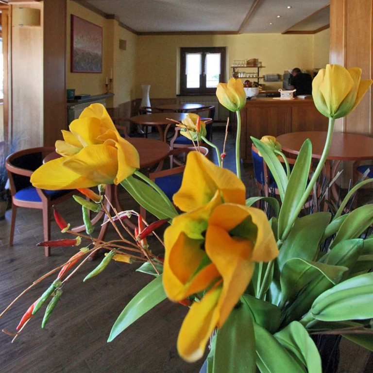 Hotel Lo Chalet - Général