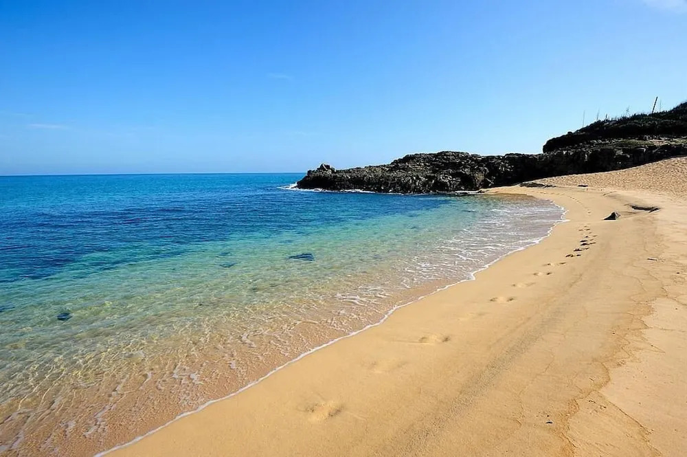 The Domed Tile BB - фото 14