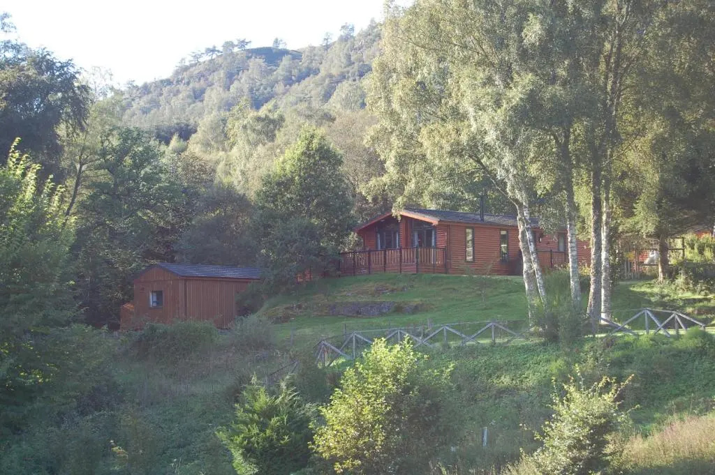 Cosy Rowan woodland lodge no3