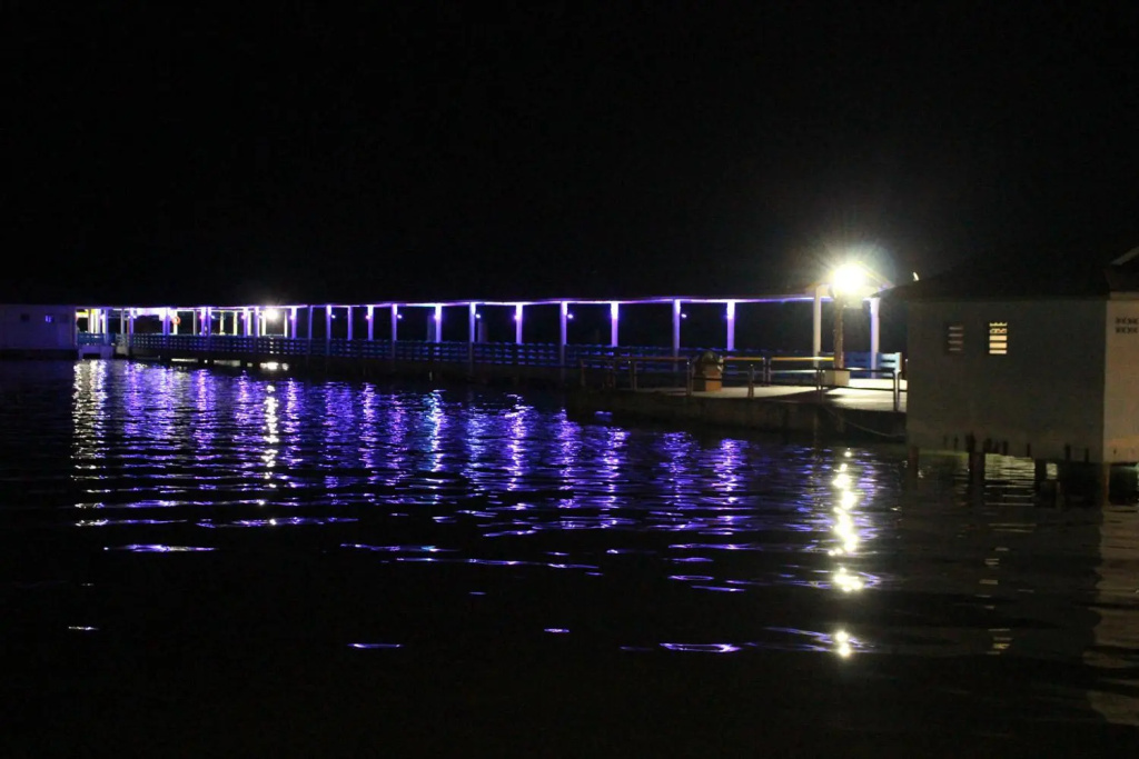 Sea Lion Hotel @ Pulau Ketam