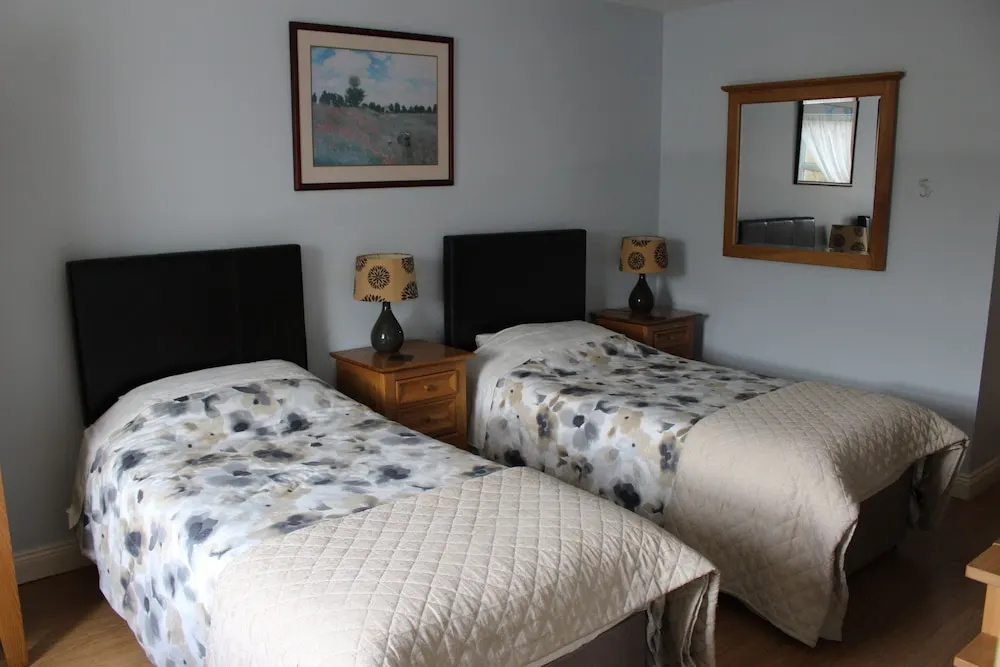 Standard Double room (twin beds)