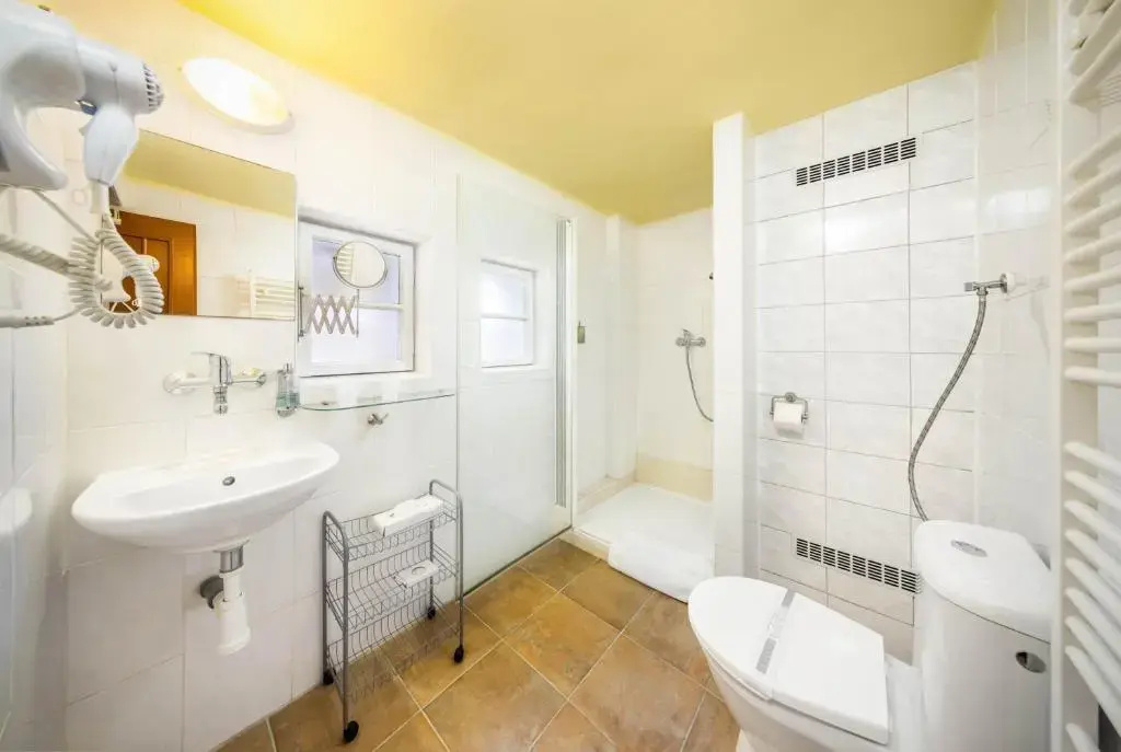 Hotel Záviš z Falkenštejna - Chambres