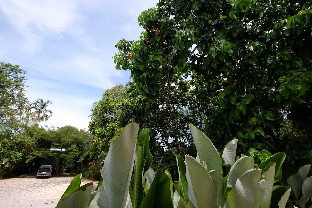 Hotel photo 38
