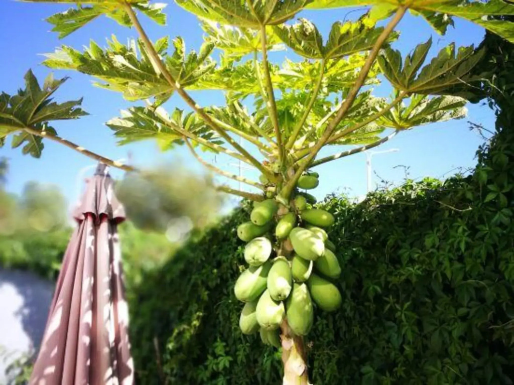 Pure Life Hostel - фото 7