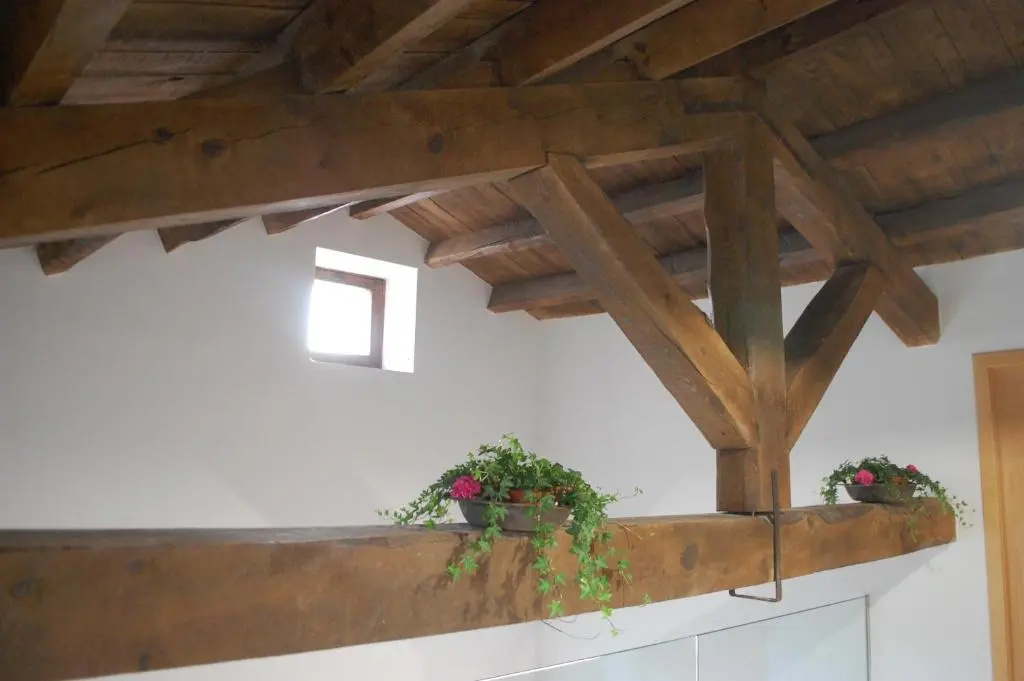 Apartamentos La Harinera